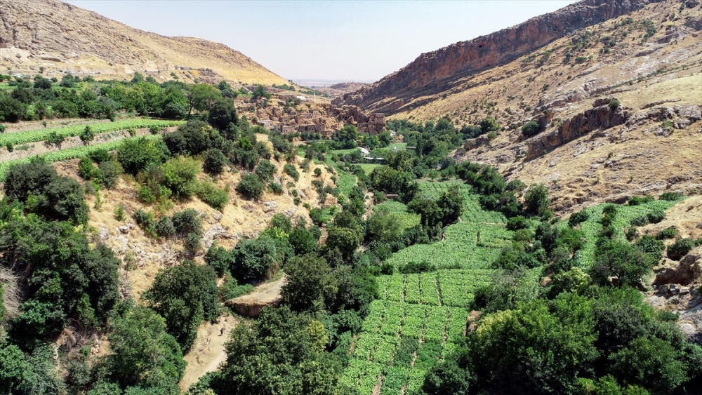 Mardin'in saklı güzelliği Gurs Vadisi 7