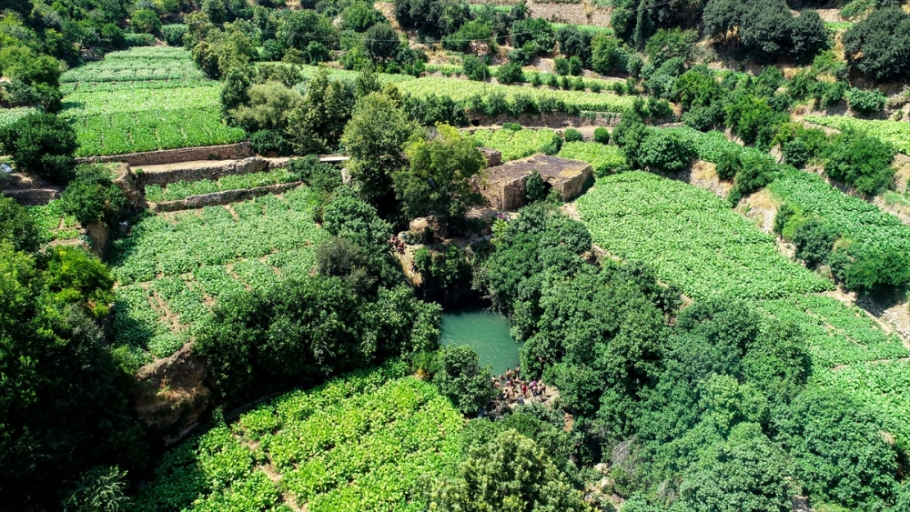 Mardin'in saklı güzelliği Gurs Vadisi 8