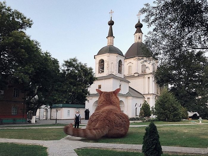 Rus Ressamın Hayal Ettiği Dünya! (Dev Kediler) 15