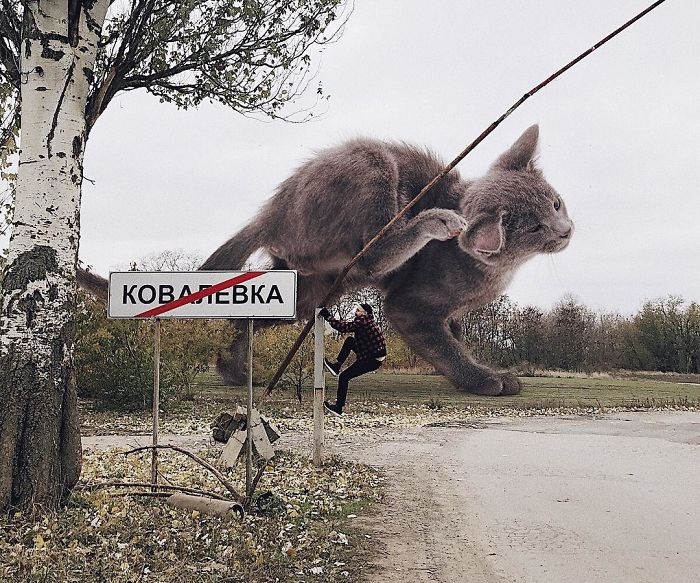 Rus Ressamın Hayal Ettiği Dünya! (Dev Kediler) 16