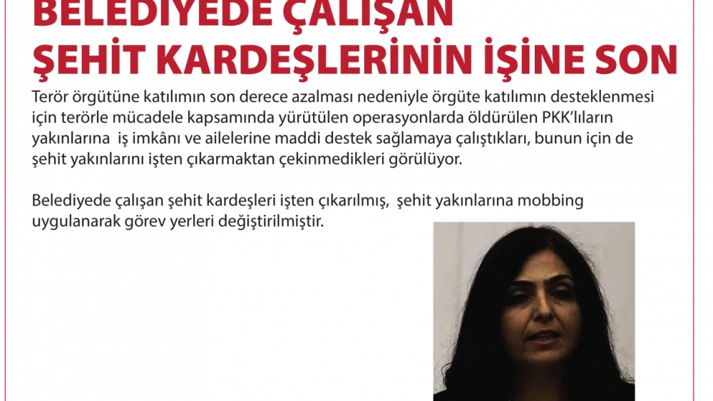 Belediye başkanlarının görevden alınma gerekçeleri(Diyarbakır, Mardin ve 28