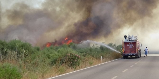 Edremit'te sazlık bölgede yangın