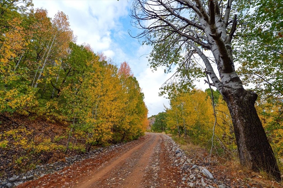 Tunceli ormanları sonbahar renkleriyle bir başka güzel 7