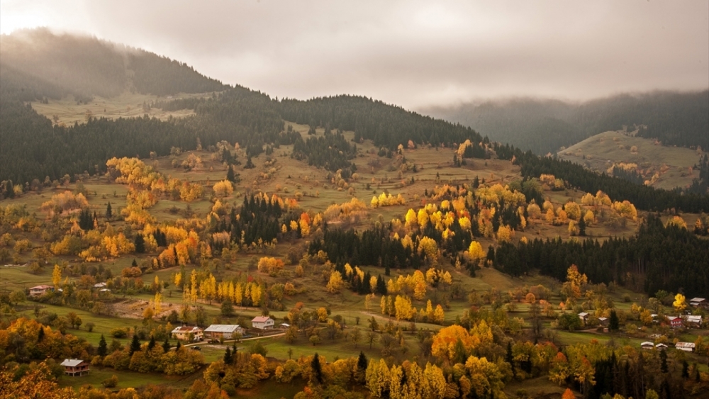 Sonbaharda fotoğraf tutkunlarının ilgi odağı  'Artvin' 6