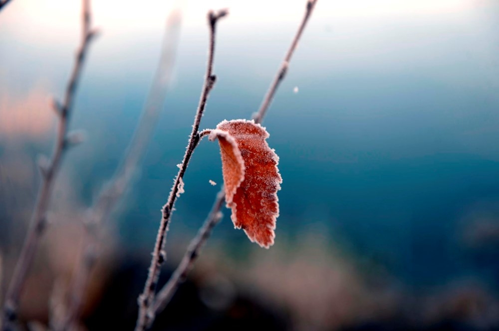 Doğu Anadolu'da soğuk hava etkili oluyor.Her yer  buz kesti 10