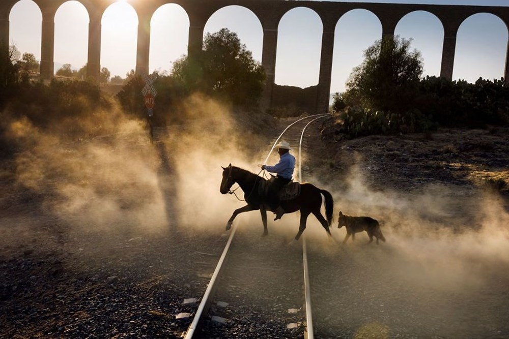 İnsanlar ve hayvanların ilişkilerini gösteren fotoğraflar 13