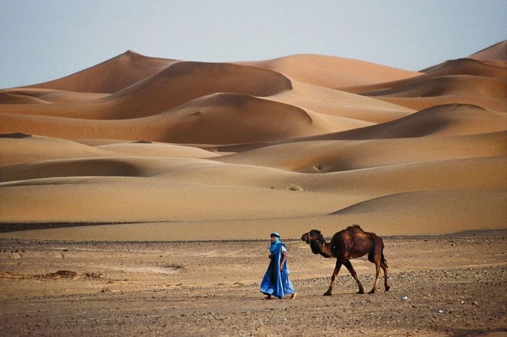 İnsanlar ve hayvanların ilişkilerini gösteren fotoğraflar 14