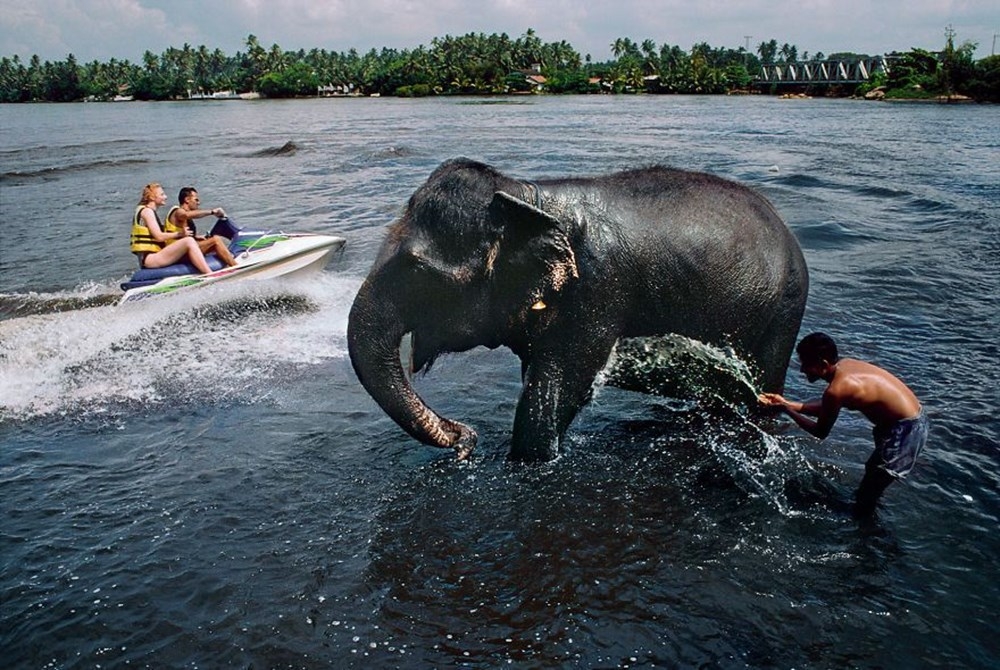İnsanlar ve hayvanların ilişkilerini gösteren fotoğraflar 15