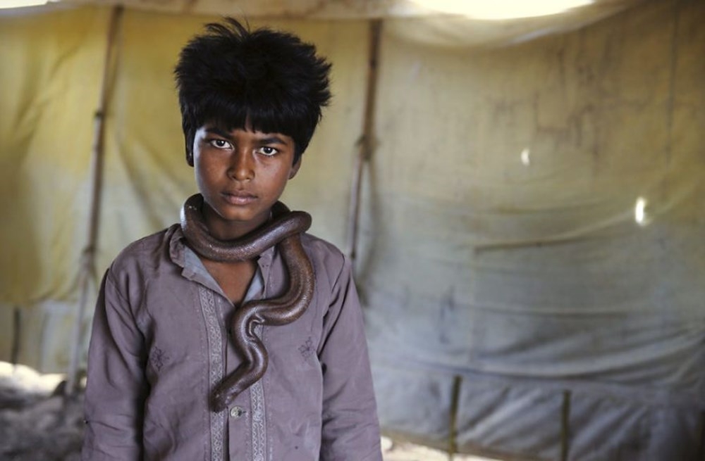 İnsanlar ve hayvanların ilişkilerini gösteren fotoğraflar 17