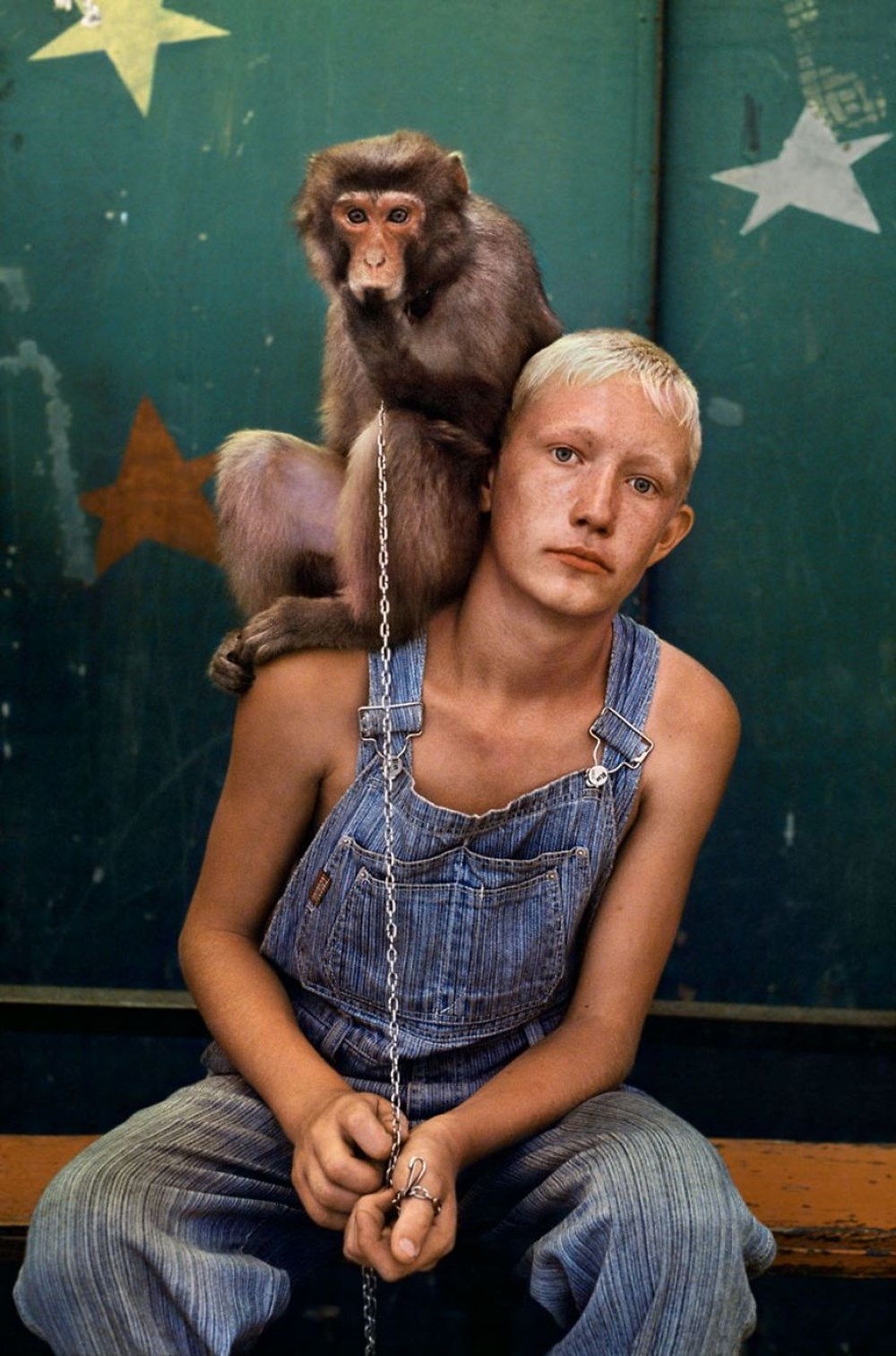 İnsanlar ve hayvanların ilişkilerini gösteren fotoğraflar 18