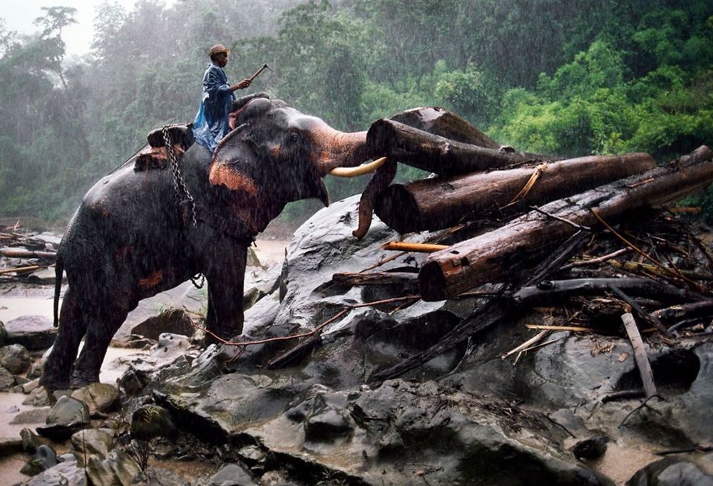 İnsanlar ve hayvanların ilişkilerini gösteren fotoğraflar 5