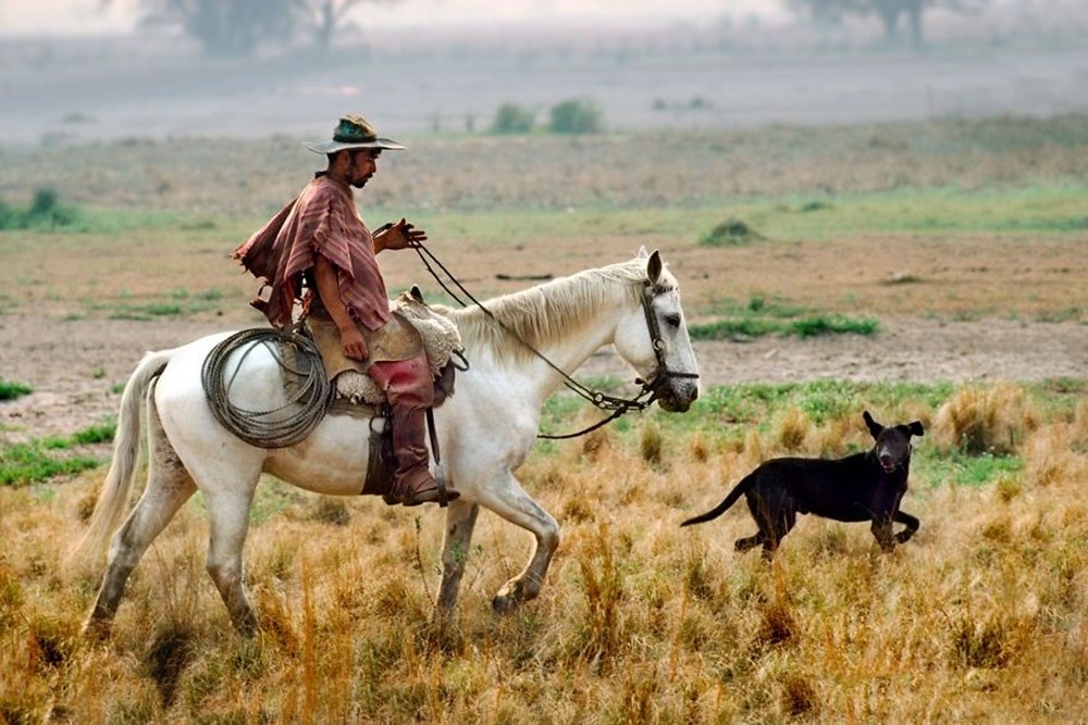 İnsanlar ve hayvanların ilişkilerini gösteren fotoğraflar 58