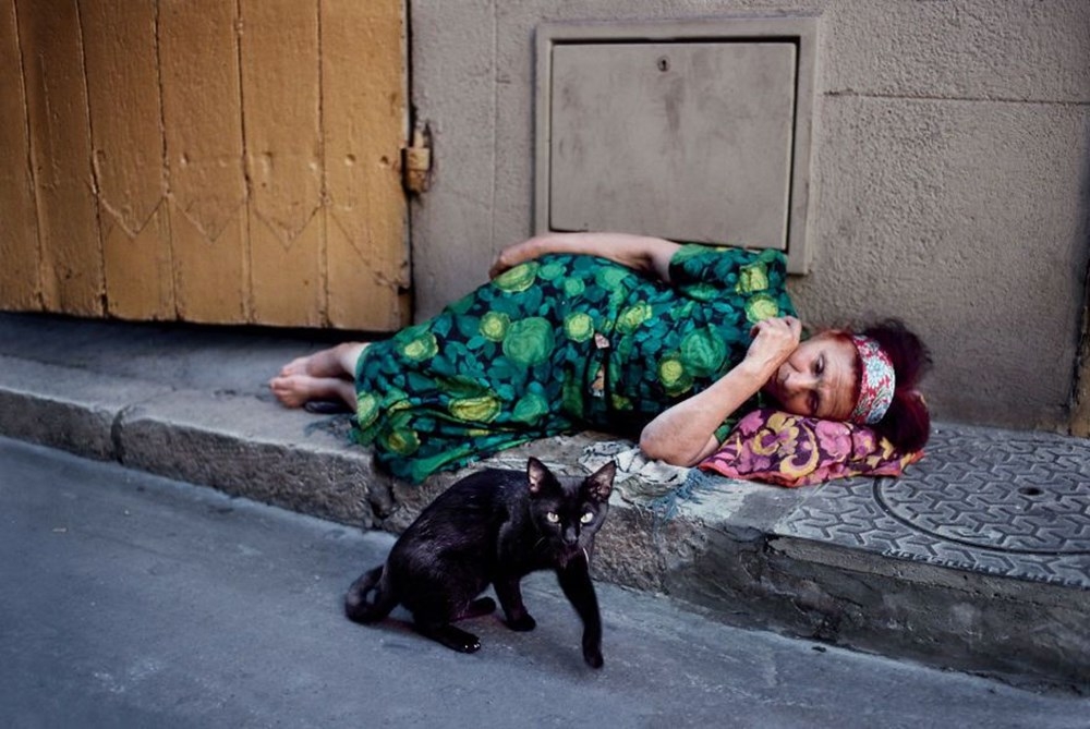 İnsanlar ve hayvanların ilişkilerini gösteren fotoğraflar 60
