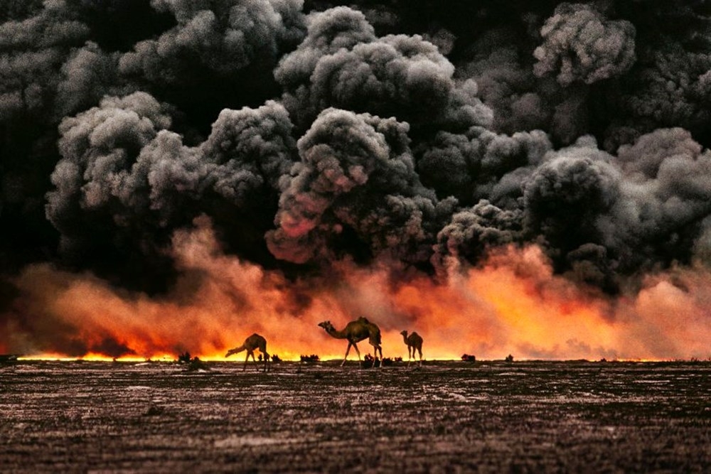 İnsanlar ve hayvanların ilişkilerini gösteren fotoğraflar 66