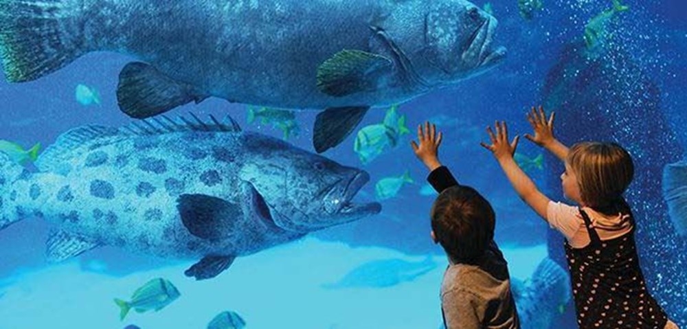 İstanbul'da çocuklar için ara tatilin en eğlenceli adresleri 10