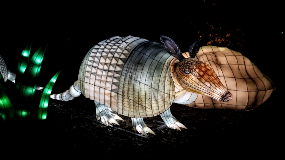 Kolombiya'da ışıklandırma festivali 13