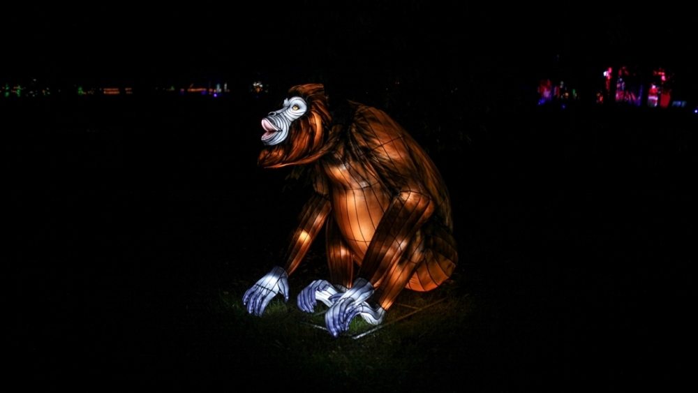 Kolombiya'da ışıklandırma festivali 14