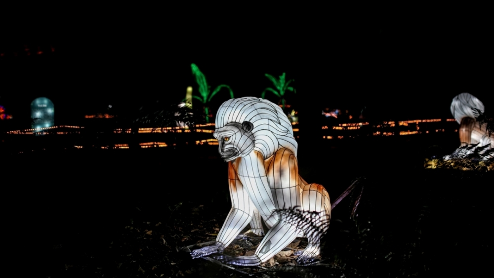 Kolombiya'da ışıklandırma festivali 15