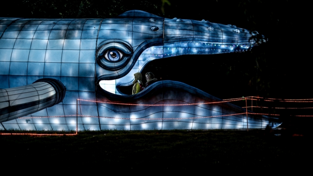 Kolombiya'da ışıklandırma festivali 17