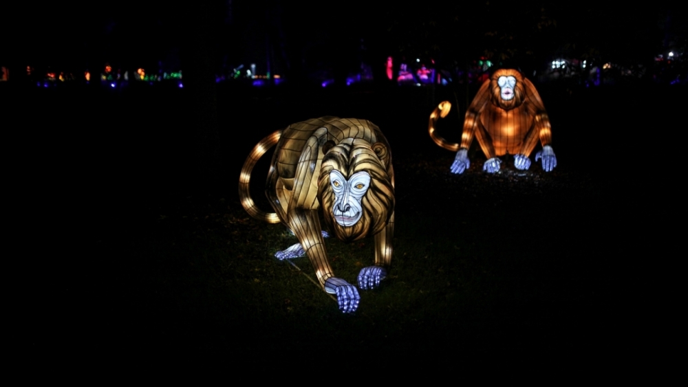 Kolombiya'da ışıklandırma festivali 18