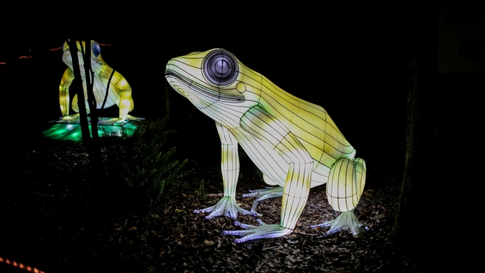 Kolombiya'da ışıklandırma festivali 19