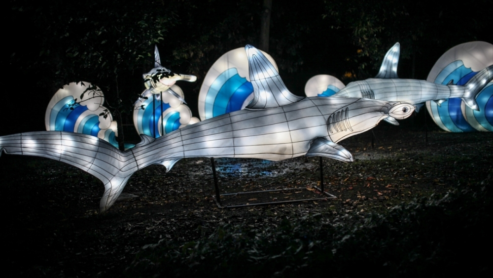 Kolombiya'da ışıklandırma festivali 22