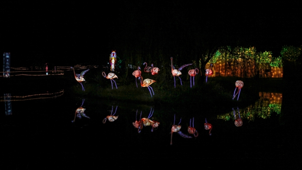 Kolombiya'da ışıklandırma festivali 23