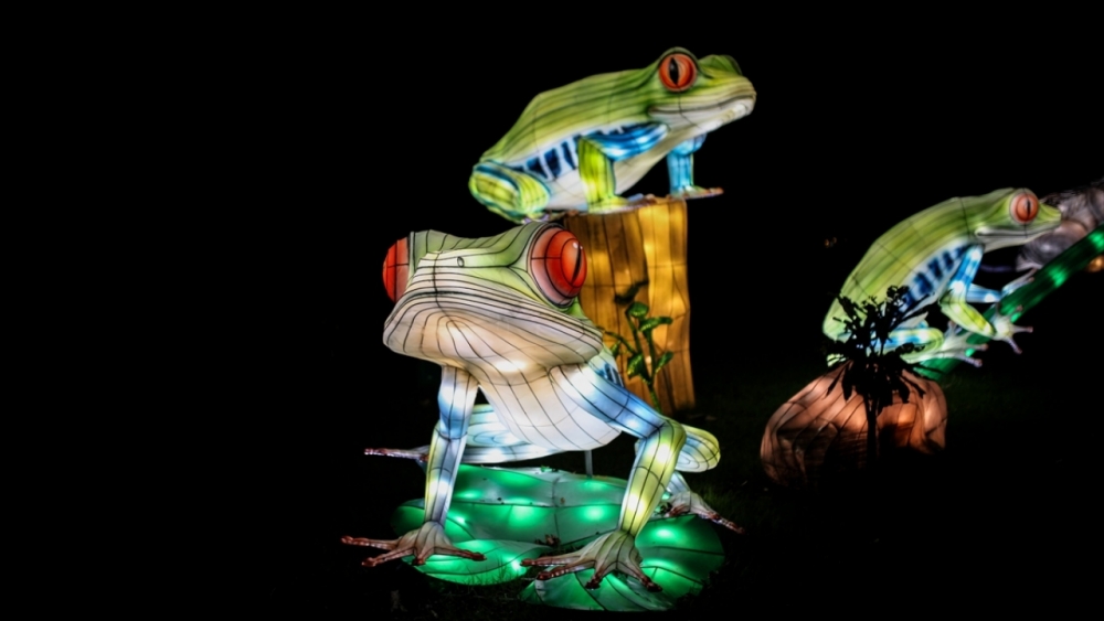 Kolombiya'da ışıklandırma festivali 24