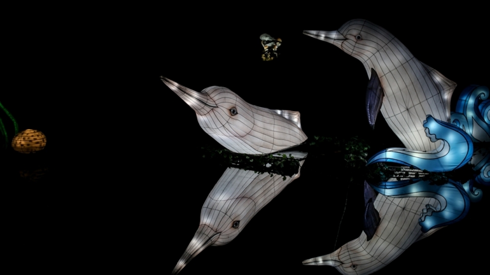 Kolombiya'da ışıklandırma festivali 26