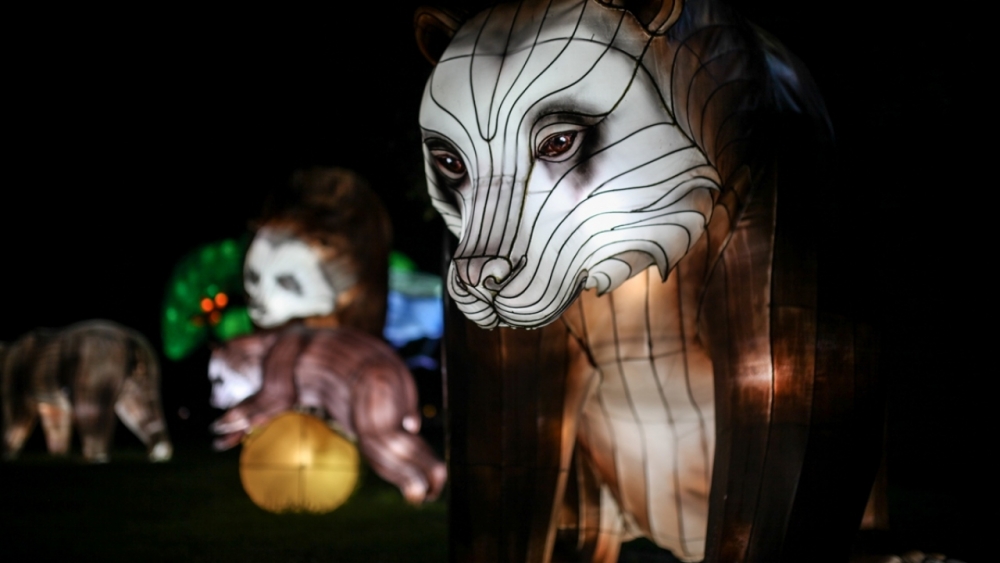 Kolombiya'da ışıklandırma festivali 27