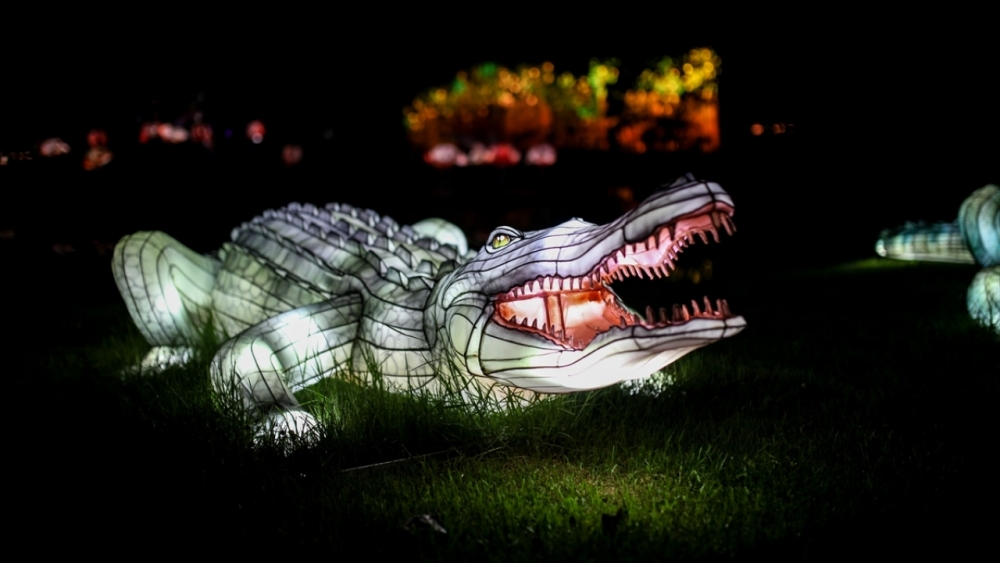 Kolombiya'da ışıklandırma festivali 30