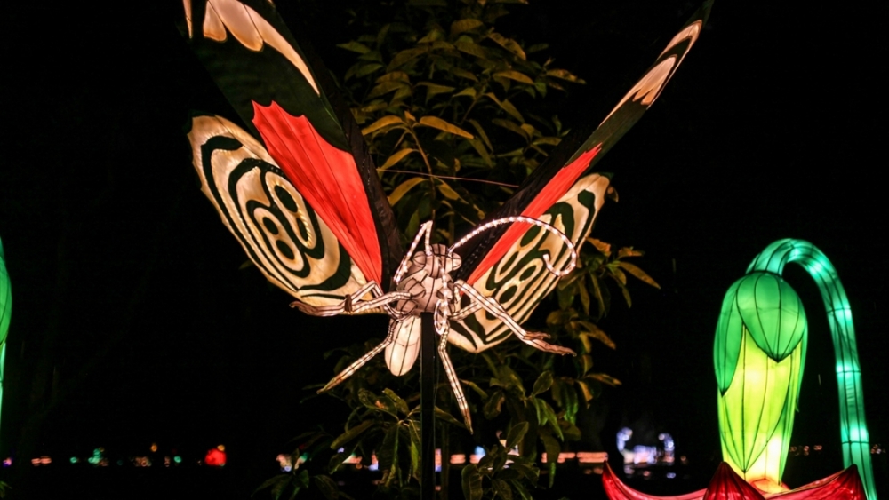 Kolombiya'da ışıklandırma festivali 31