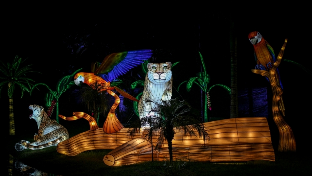 Kolombiya'da ışıklandırma festivali 32