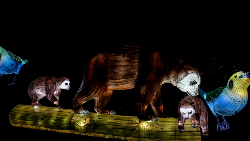 Kolombiya'da ışıklandırma festivali 33