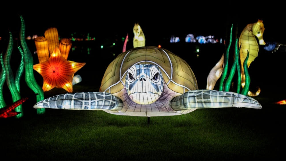 Kolombiya'da ışıklandırma festivali 34