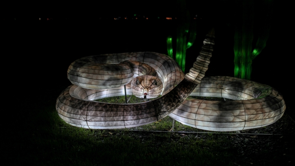 Kolombiya'da ışıklandırma festivali 35