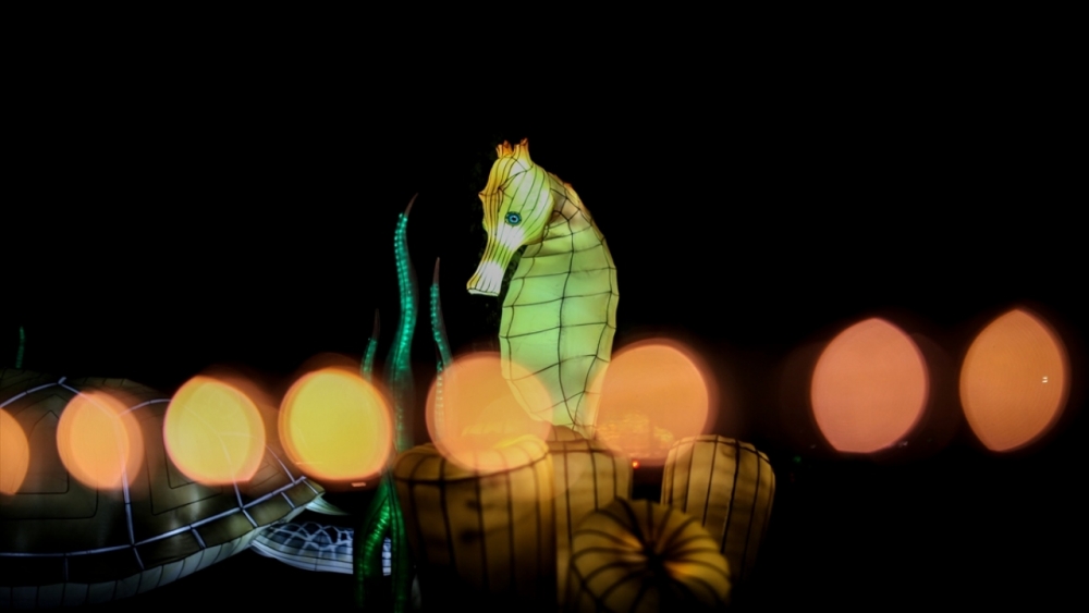 Kolombiya'da ışıklandırma festivali 36