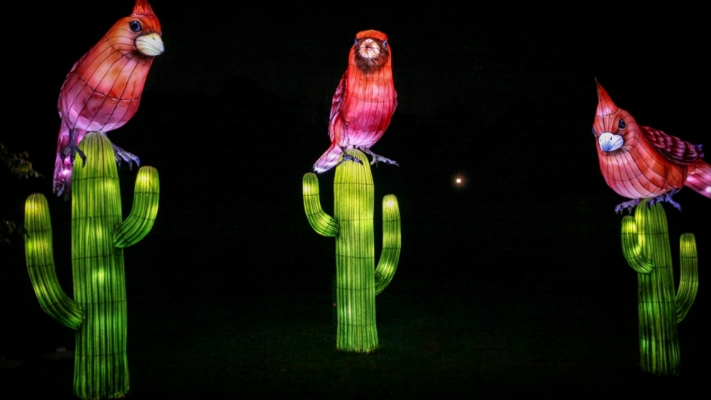 Kolombiya'da ışıklandırma festivali 5