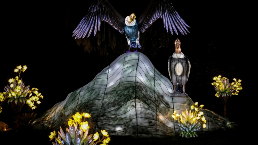 Kolombiya'da ışıklandırma festivali 6