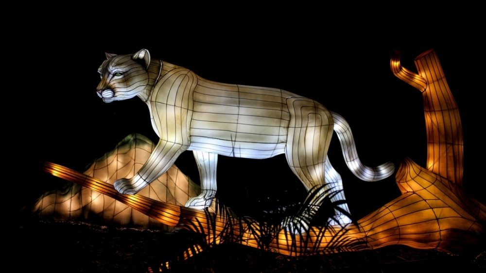 Kolombiya'da ışıklandırma festivali 7