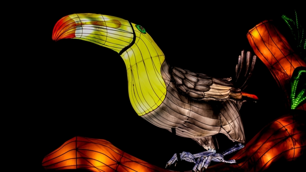 Kolombiya'da ışıklandırma festivali 8