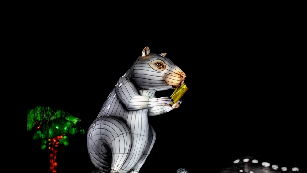 Kolombiya'da ışıklandırma festivali 9