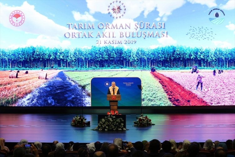 Erdoğan'ı görünce telefonlara sarıldılar! Renkli anlar... 17