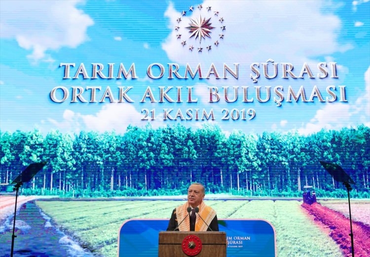 Erdoğan'ı görünce telefonlara sarıldılar! Renkli anlar... 22