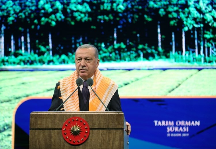 Erdoğan'ı görünce telefonlara sarıldılar! Renkli anlar... 5