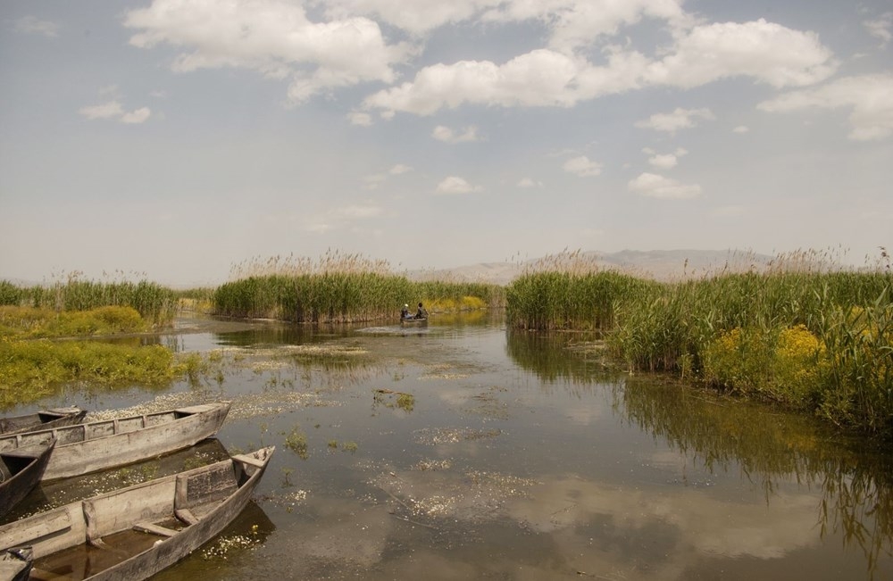 Türkiye'nin 12.tatlı su kaynağı Eber Gölü gün geçtikçe kuruyor 8