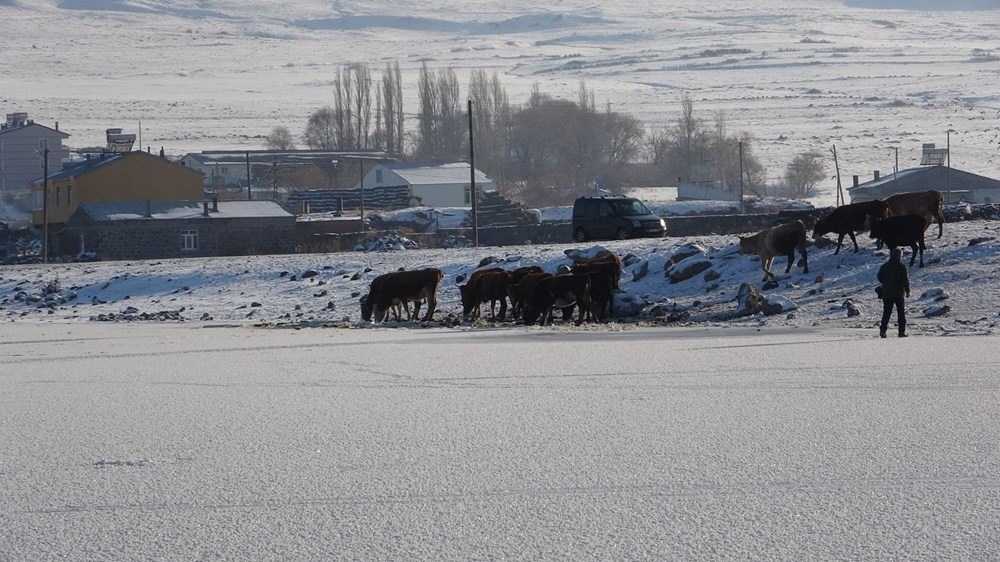Ardahan'da Aktaş Gölü dondu 1