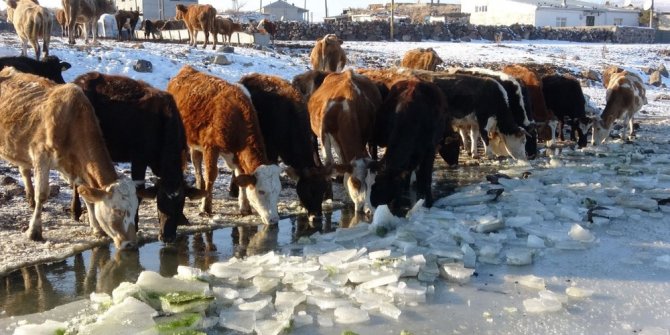Ardahan'da Aktaş Gölü dondu