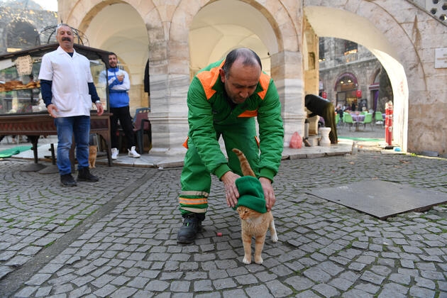 Kediye bere takan işçi fenomen oldu 6