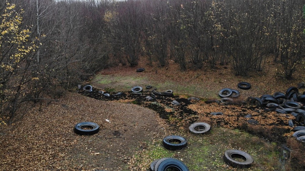 Doğa katliamı: Ormanlık alan lastik tarlasına döndü 5